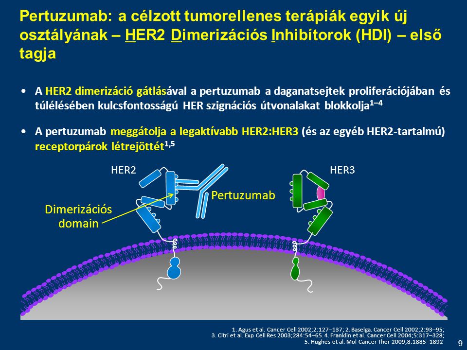Pertuzumab: a célzott tumorellenes terápiák egyik új osztályának – HER2 Dimerizációs Inhibítorok (HDI) – első tagja