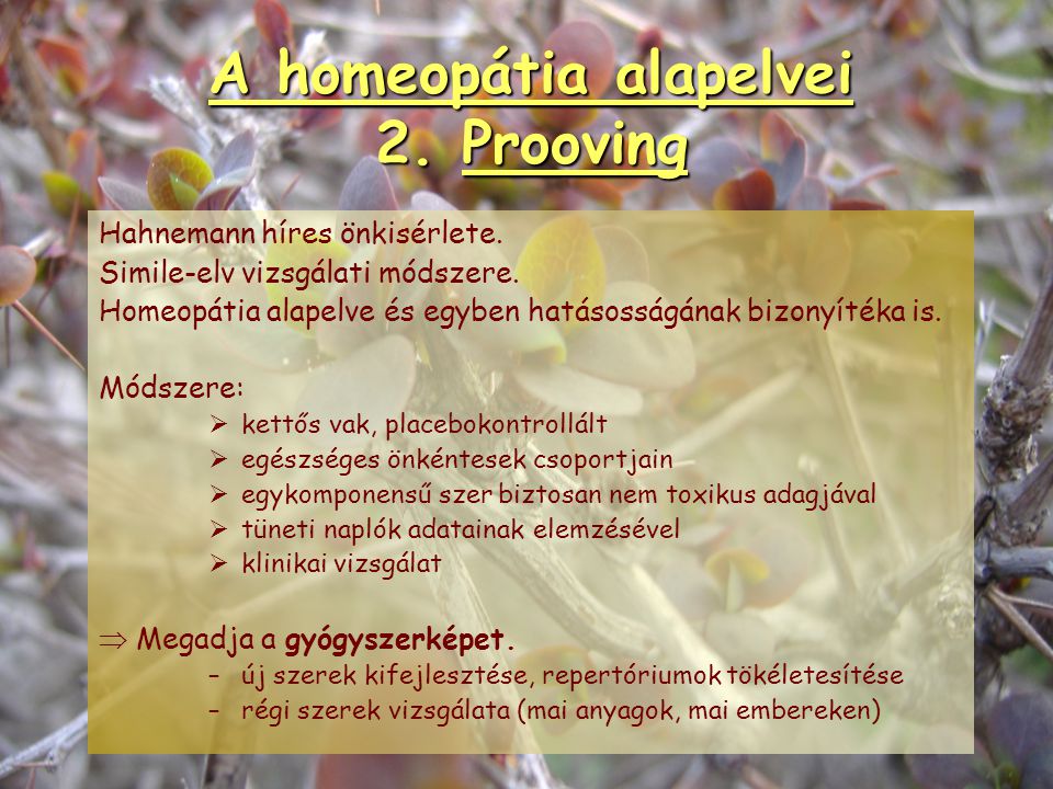 homeopátia alapelvei