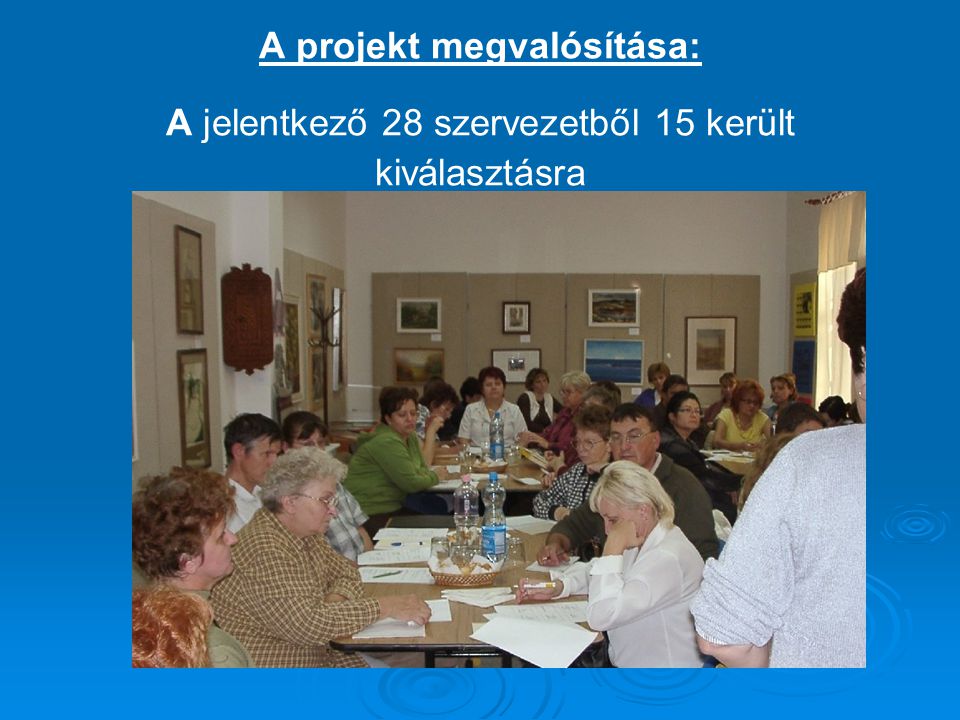 A projekt megvalósítása: A jelentkező 28 szervezetből 15 került kiválasztásra