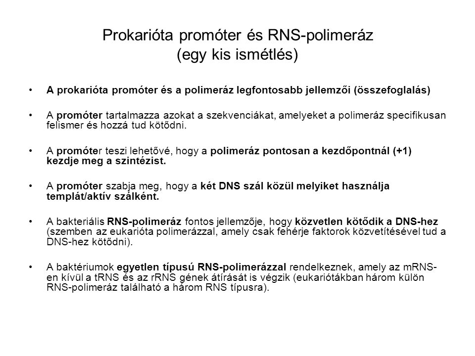Prokarióta promóter és RNS-polimeráz (egy kis ismétlés)