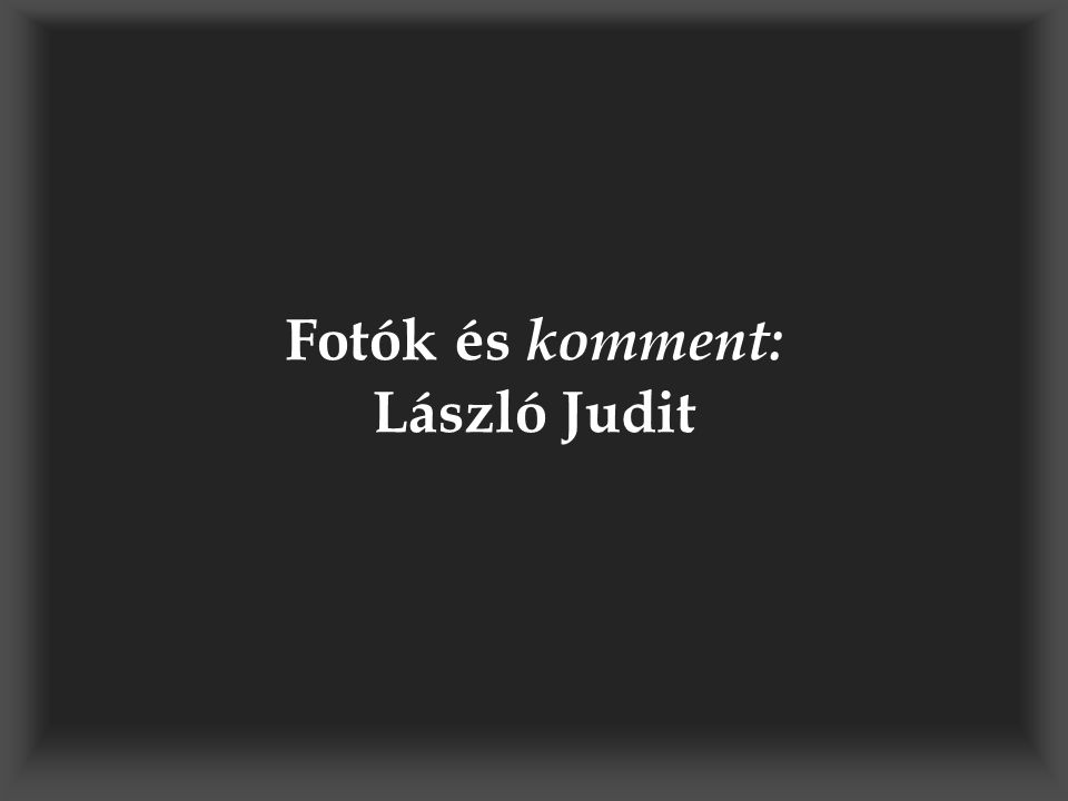 Fotók és komment: László Judit