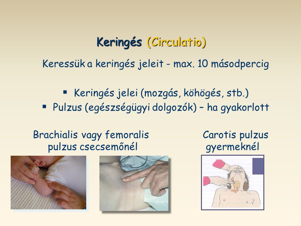 Keringés (Circulatio)