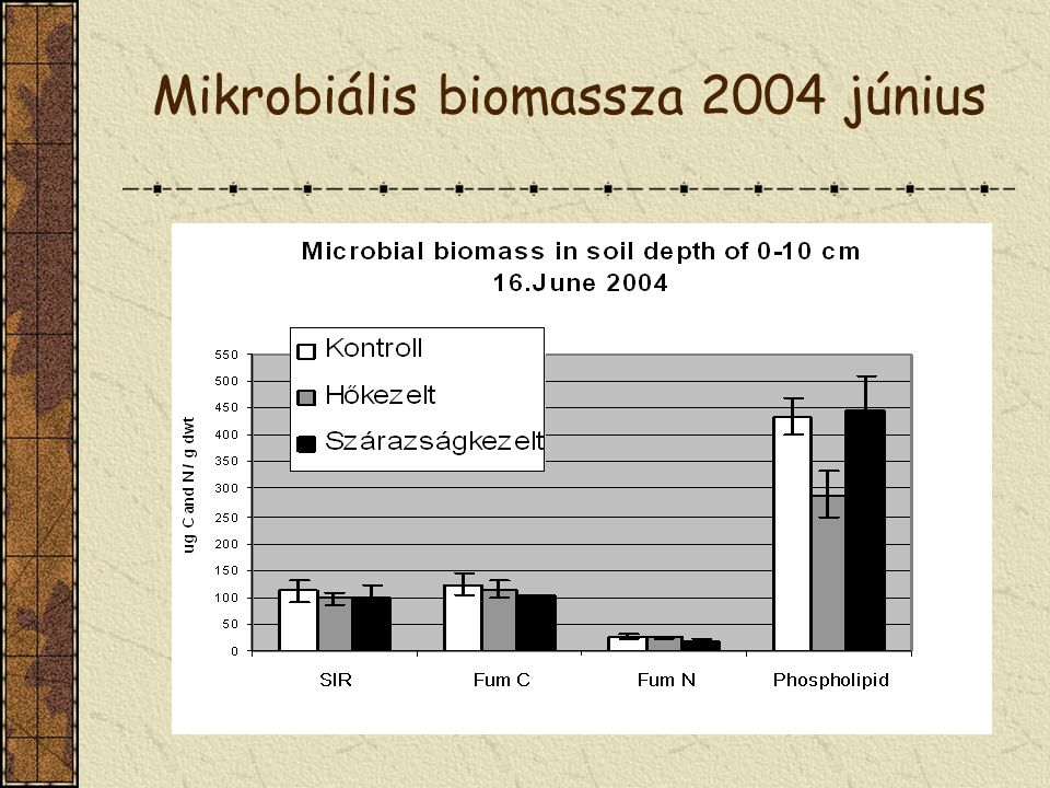 Mikrobiális biomassza 2004 június