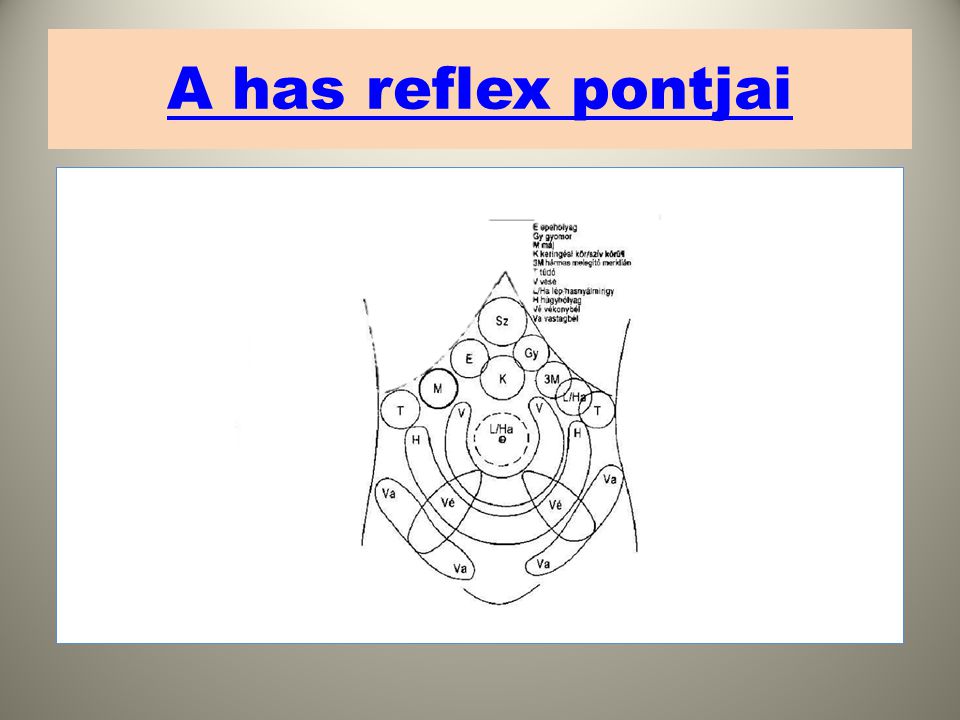 A has reflex pontjai