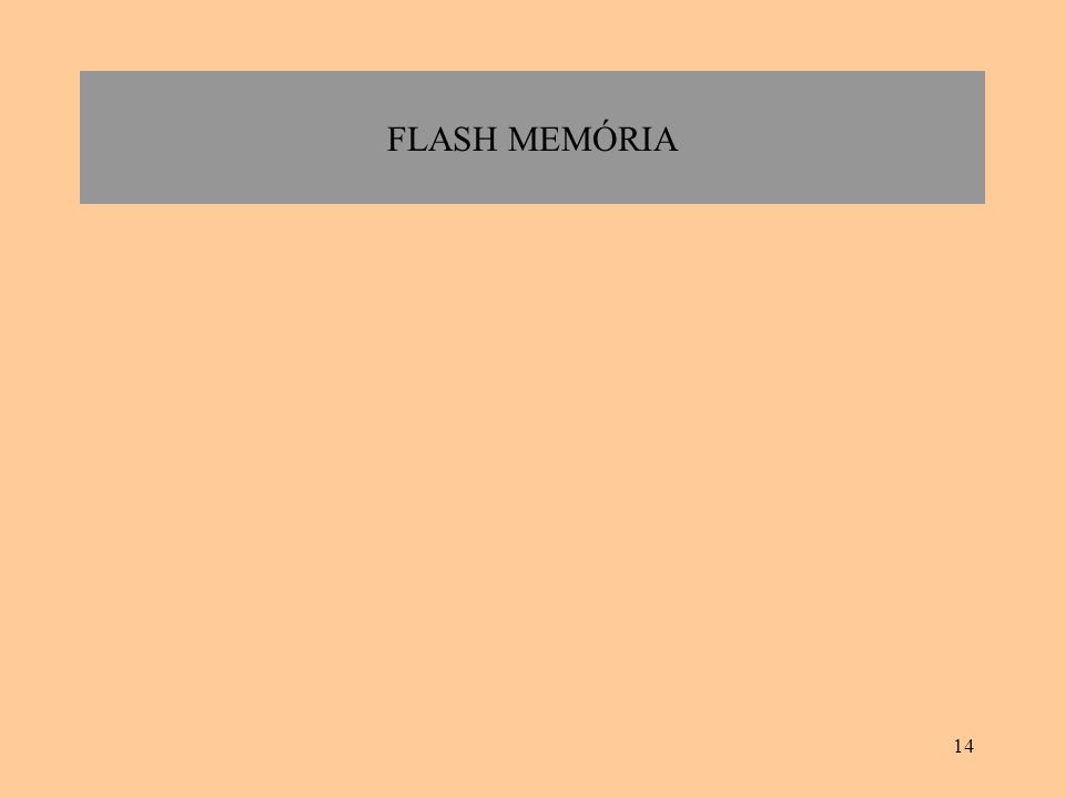 FLASH MEMÓRIA