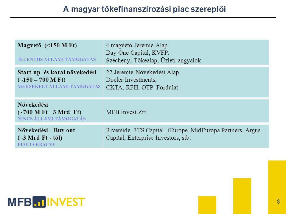 A magyar tőkefinanszírozási piac szereplői