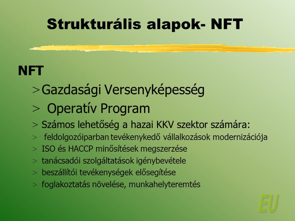 Strukturális alapok- NFT