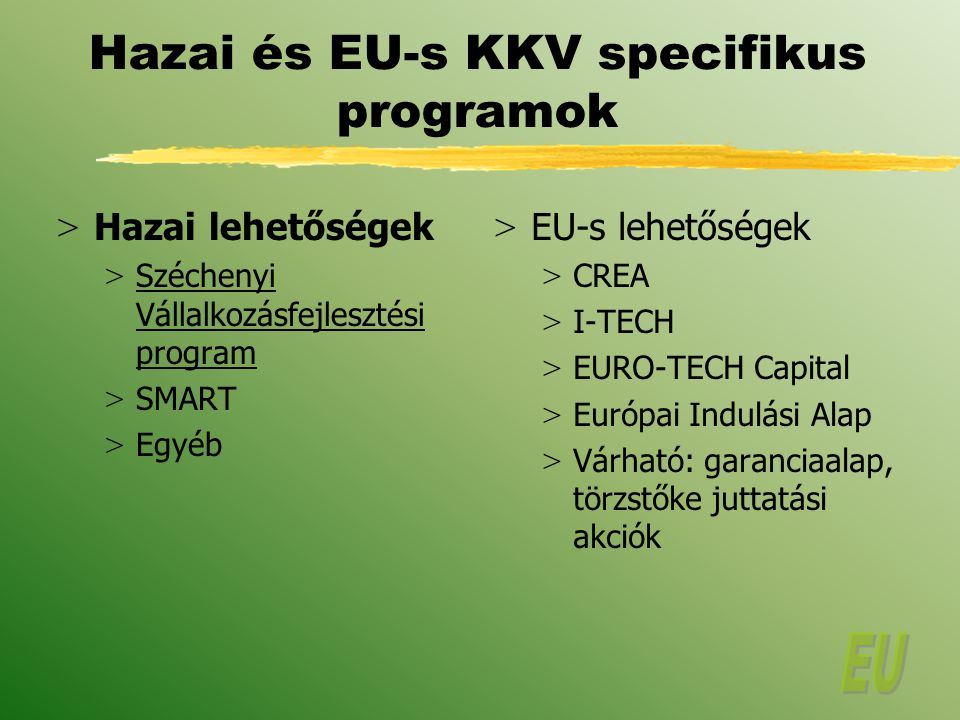 Hazai és EU-s KKV specifikus programok