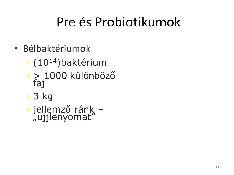 Pre és Probiotikumok Bélbaktériumok (1014)baktérium