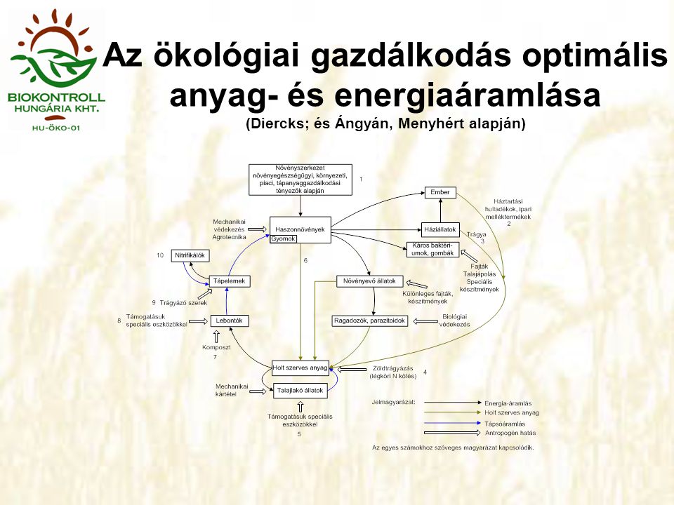 Az ökológiai gazdálkodás optimális anyag- és energiaáramlása (Diercks; és Ángyán, Menyhért alapján)