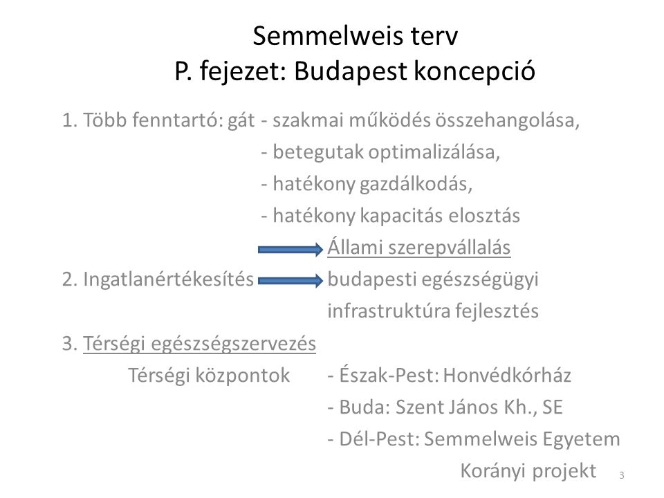 Semmelweis terv P. fejezet: Budapest koncepció