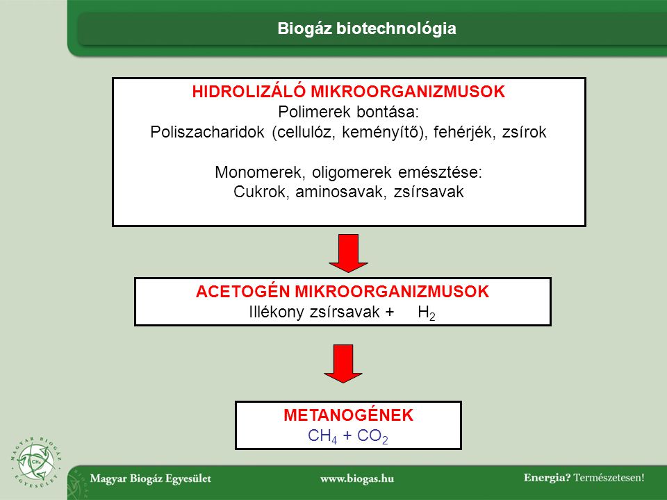 Biogáz biotechnológia