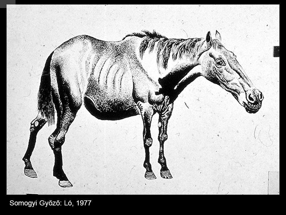 Somogyi Győző: Ló, 1977