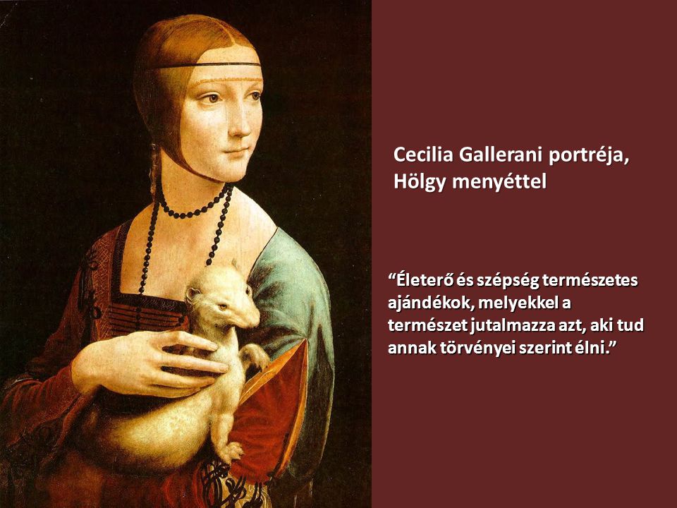 Cecilia Gallerani portréja, Hölgy menyéttel