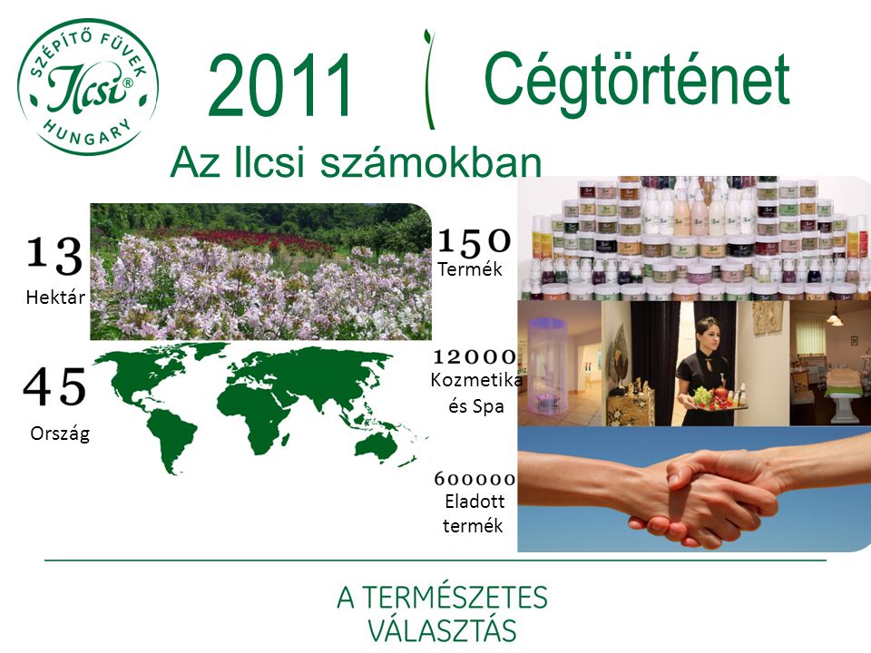 2011 Cégtörténet Az Ilcsi számokban Termék Hektár Kozmetika és Spa