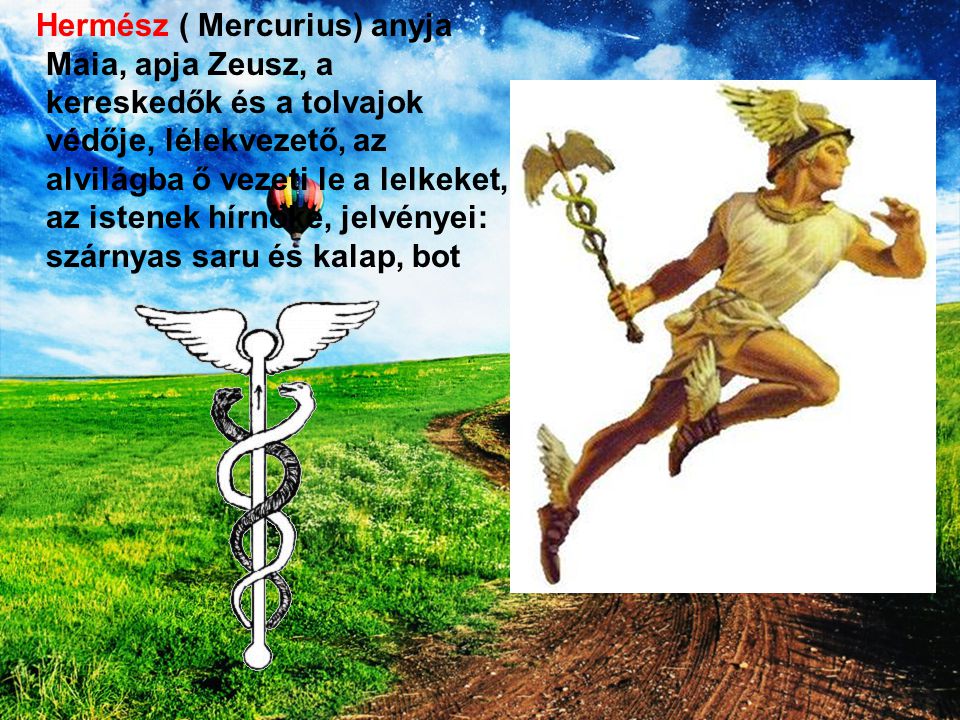 Hermész ( Mercurius) anyja Maia, apja Zeusz, a kereskedők és a tolvajok védője, lélekvezető, az alvilágba ő vezeti le a lelkeket, az istenek hírnöke, jelvényei: szárnyas saru és kalap, bot