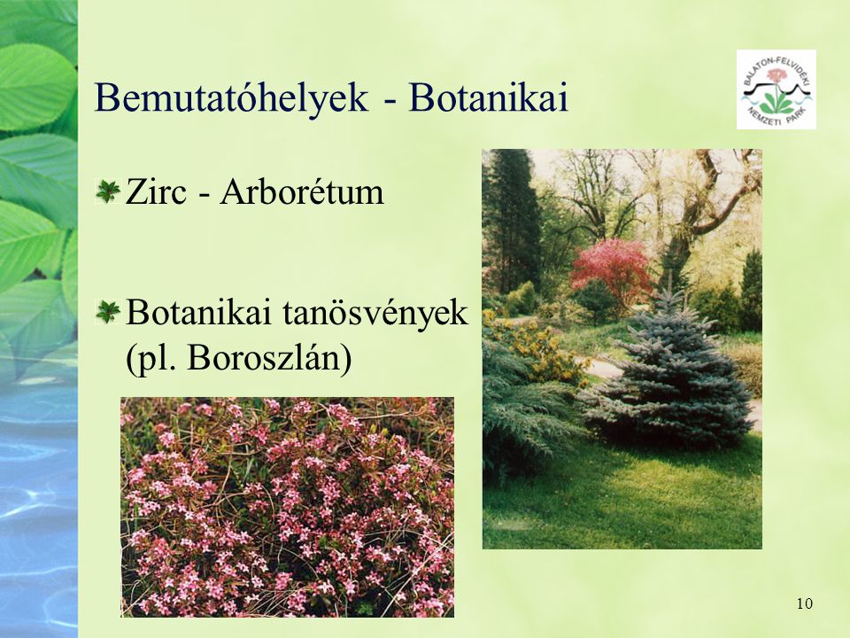 Bemutatóhelyek - Botanikai