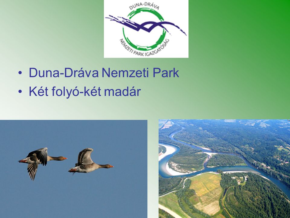 Duna-Dráva Nemzeti Park
