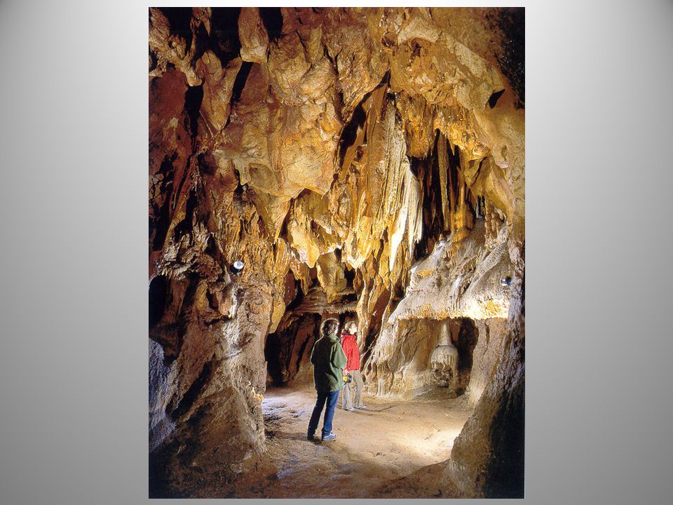 leghíresebb barlangja a Baradla-Domica barlangrendszer, melynek eddig feltárt oldalágaival együtt mért összhosszúsága 25 km - ezáltal Magyarország és a mérsékelt égöv leghosszabb barlangjának számít