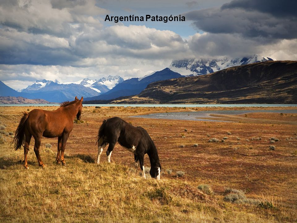 Argentína Patagónia