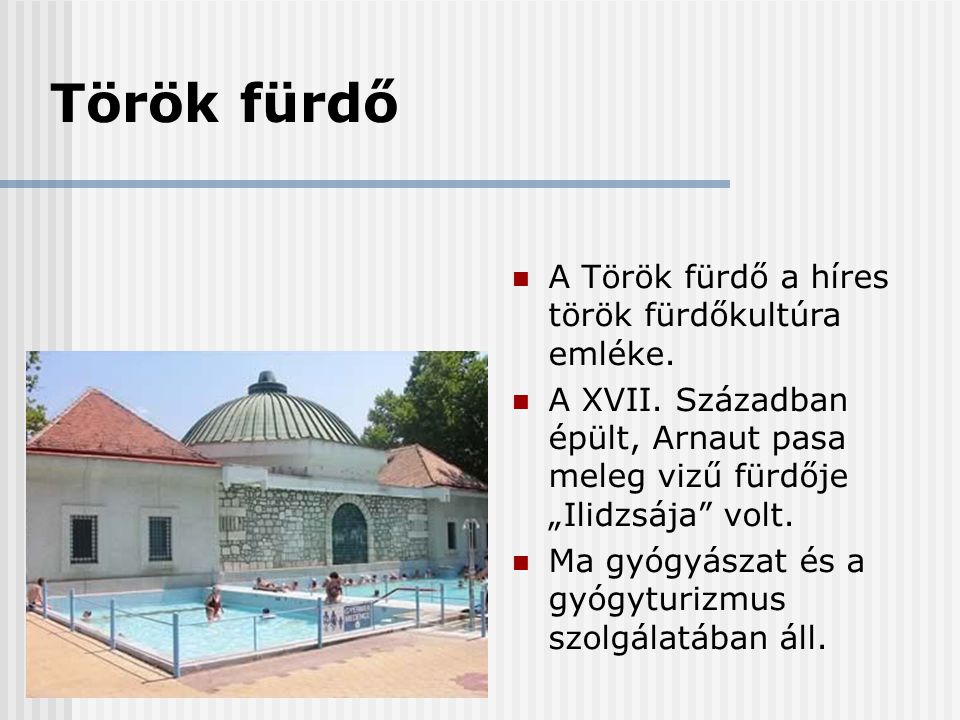 Török fürdő A Török fürdő a híres török fürdőkultúra emléke.