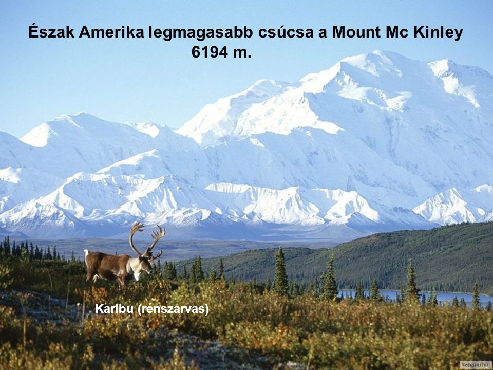 Észak Amerika legmagasabb csúcsa a Mount Mc Kinley 6194 m.