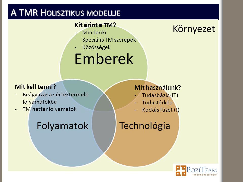 A TMR Holisztikus modellje
