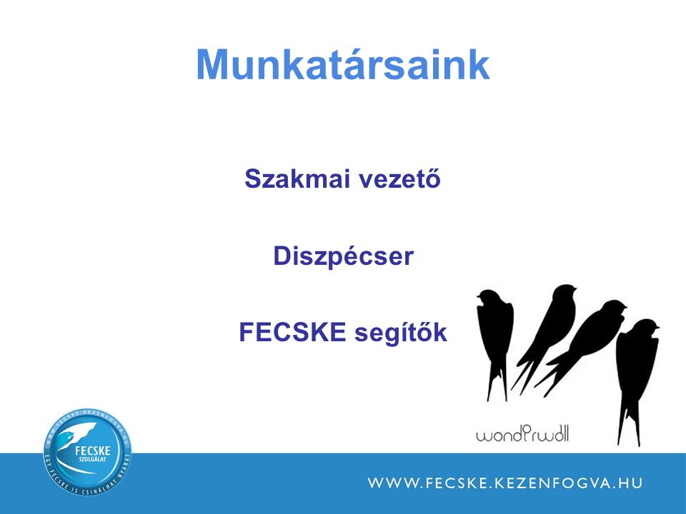 Munkatársaink Szakmai vezető Diszpécser FECSKE segítők