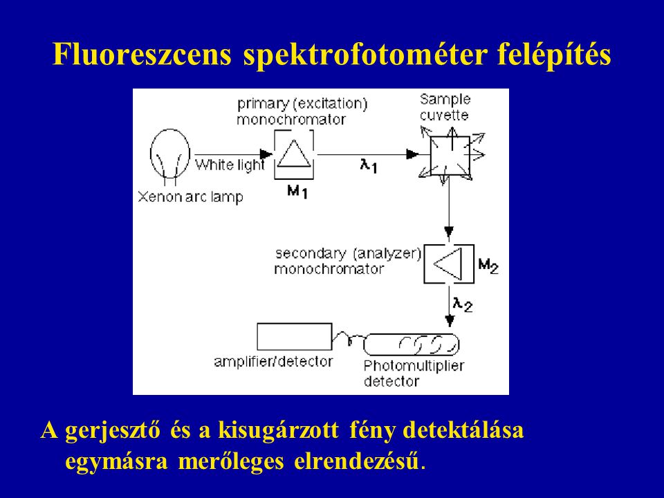 Fluoreszcens spektrofotométer felépítés