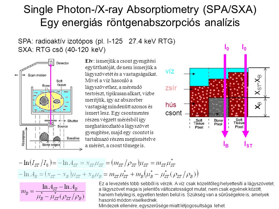 Single Photon-/X-ray Absorptiometry (SPA/SXA) Egy energiás röntgenabszorpciós analízis
