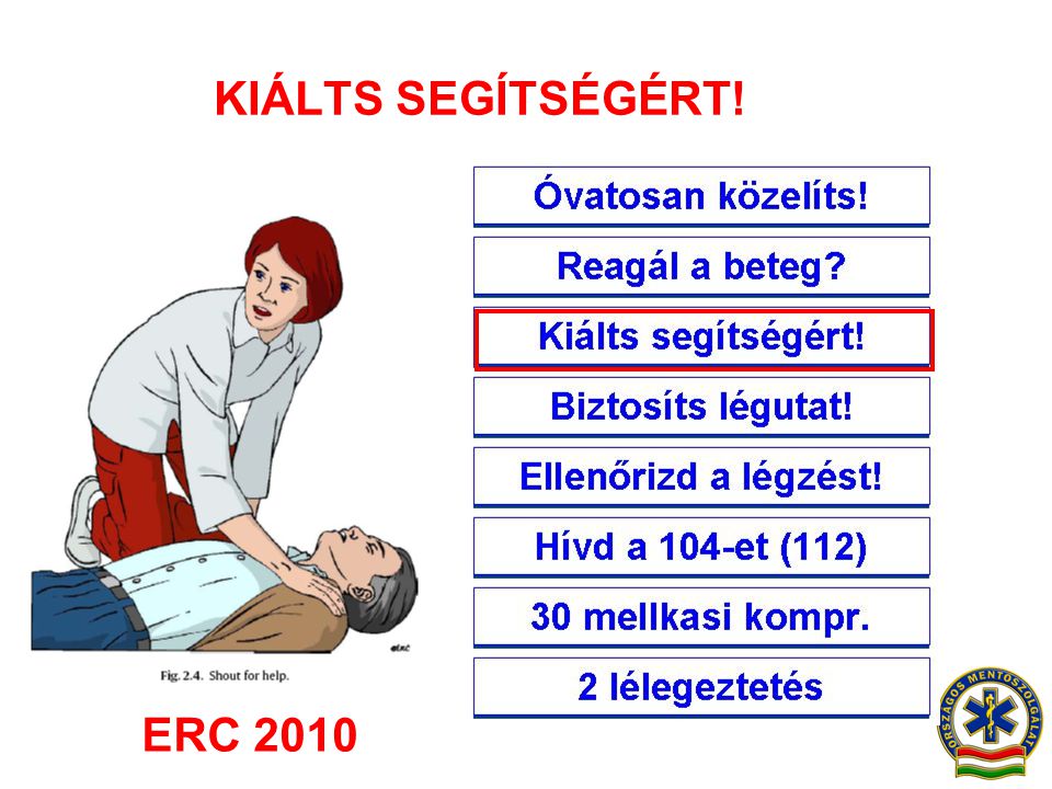 KIÁLTS SEGÍTSÉGÉRT! ERC 2010