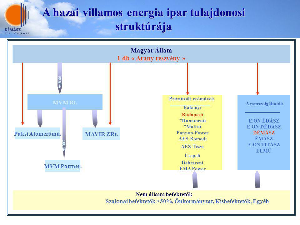 A hazai villamos energia ipar tulajdonosi struktúrája