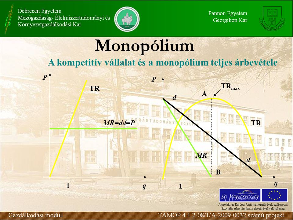 Monopólium A kompetitív vállalat és a monopólium teljes árbevétele P P
