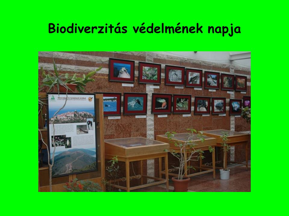 Biodiverzitás védelmének napja