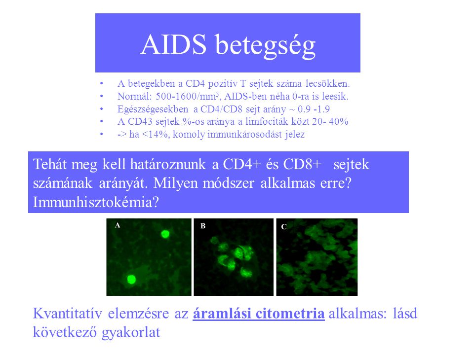 AIDS betegség A betegekben a CD4 pozitív T sejtek száma lecsökken. Normál: /mm3, AIDS-ben néha 0-ra is leesik.