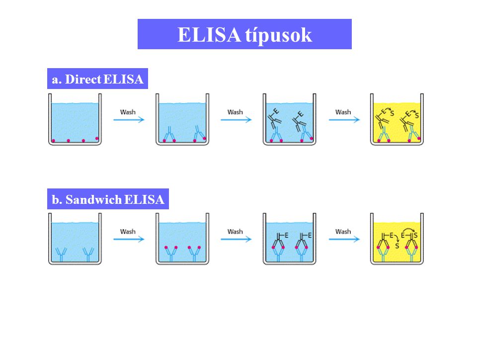 ELISA típusok a. Direct ELISA b. Sandwich ELISA 8