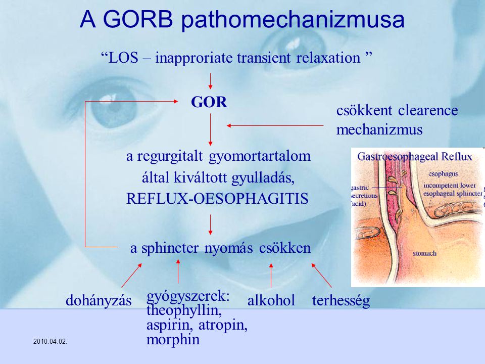 A GORB pathomechanizmusa