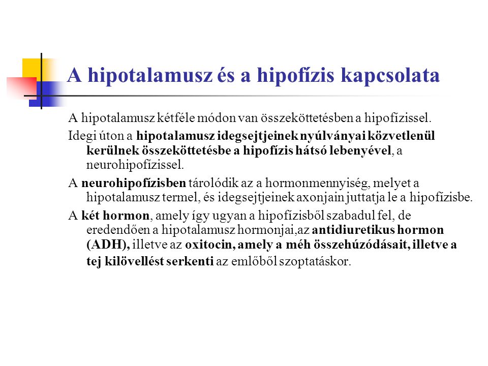 A hipotalamusz és a hipofízis kapcsolata