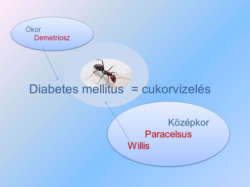 a kezelés a cukorbetegség hangyák