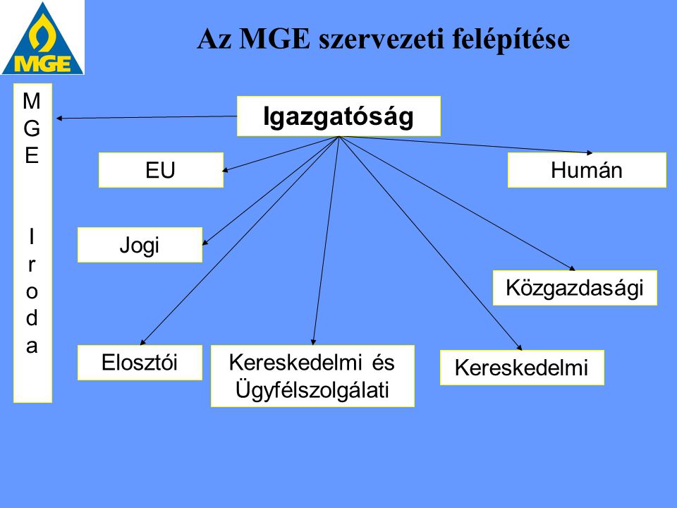 Az MGE szervezeti felépítése