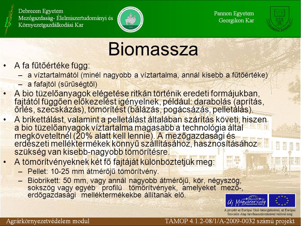 Biomassza A fa fűtőértéke függ: