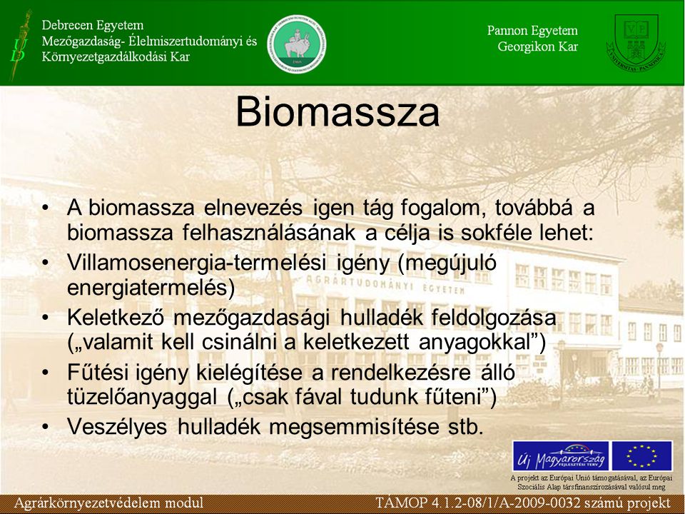 Biomassza A biomassza elnevezés igen tág fogalom, továbbá a biomassza felhasználásának a célja is sokféle lehet:
