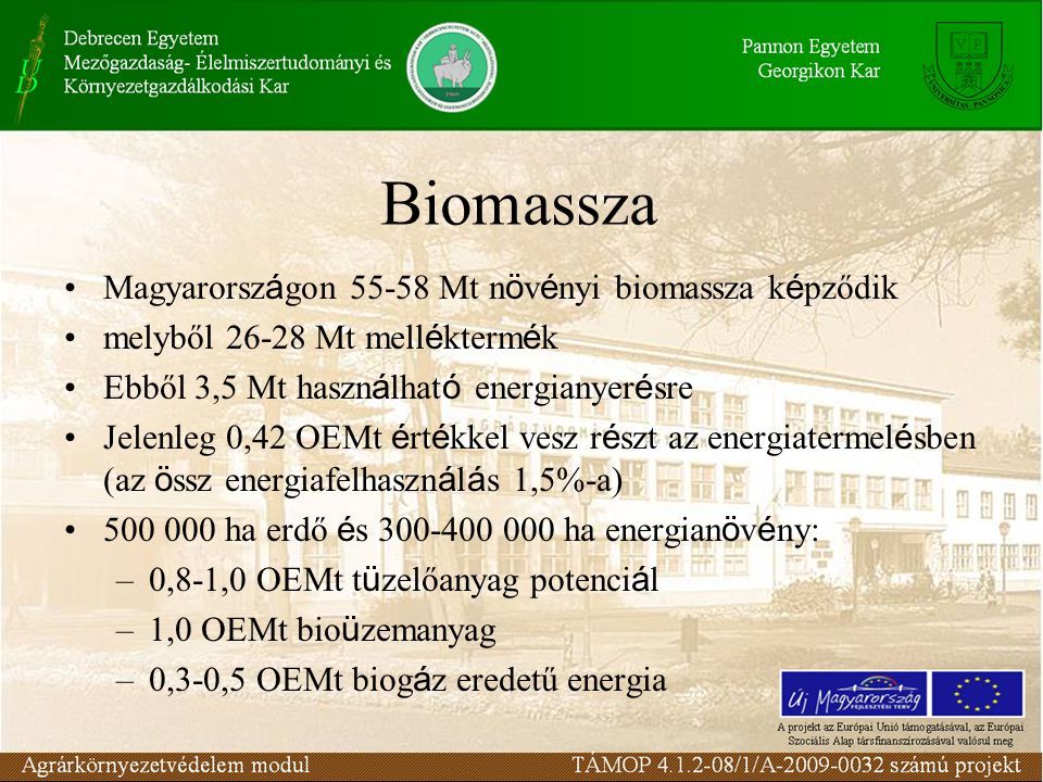 Biomassza Magyarországon Mt növényi biomassza képződik