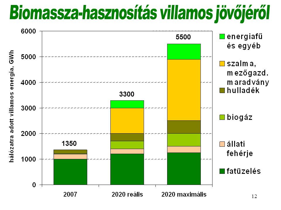 Biomassza-hasznosítás villamos jövőjéről