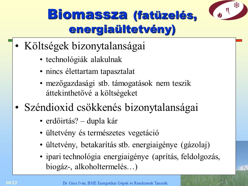 Biomassza (fatüzelés, energiaültetvény)