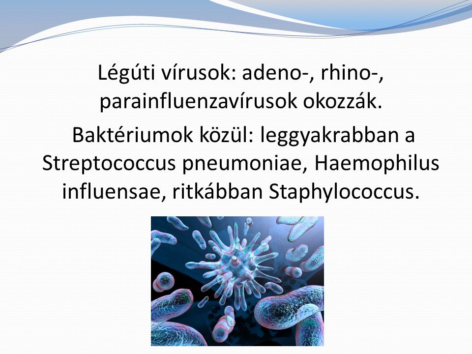 Légúti vírusok: adeno-, rhino-, parainfluenzavírusok okozzák