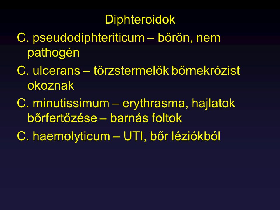 Diphteroidok C. pseudodiphteriticum – bőrön, nem pathogén. C. ulcerans – törzstermelők bőrnekrózist okoznak.
