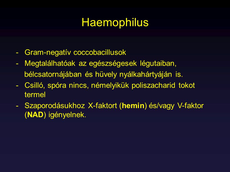 Haemophilus Gram-negatív coccobacillusok