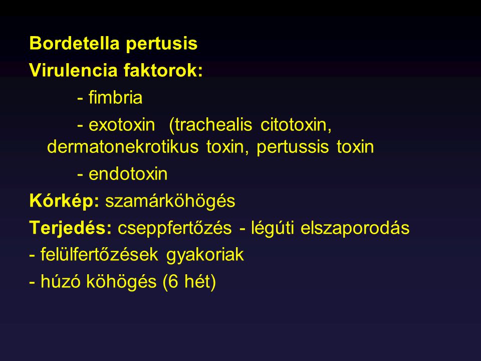 Bordetella pertusis Virulencia faktorok: - fimbria. - exotoxin (trachealis citotoxin, dermatonekrotikus toxin, pertussis toxin.