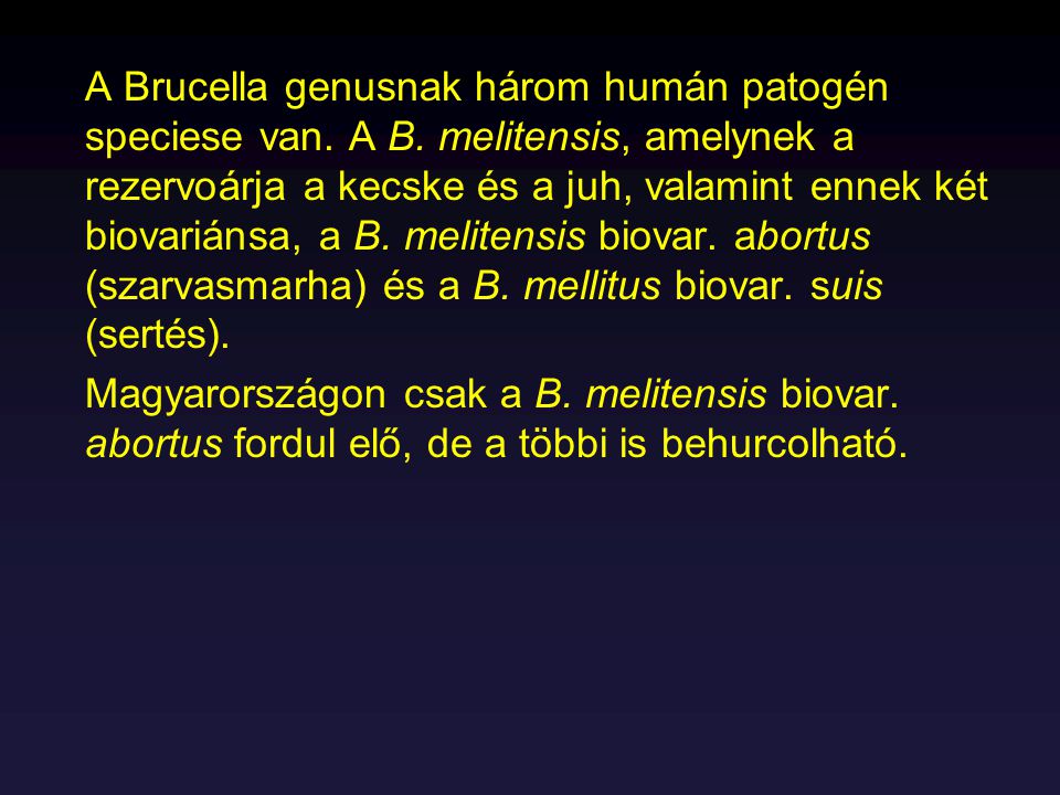 A Brucella genusnak három humán patogén speciese van. A B